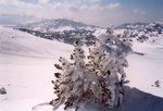 Les hauts plateaux du sud-Vercors.