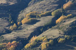Couleurs d'automne.