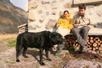Gentil chien.